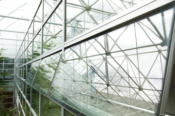 Fototapeta premium glass office buildings