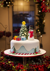 Cake Torta di Natale