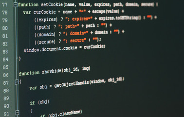 Program code on a monitor