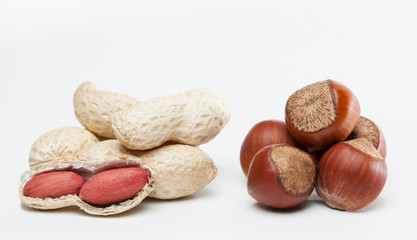 Handful of groundnuts and hazelnuts