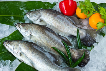 Fresh Seabass and vegetables chilled on ice