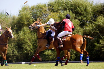 joueur de polo &agrave; cheval