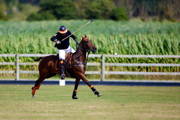joueur de polo &agrave; cheval