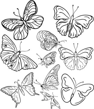outline butterfly silhouettes