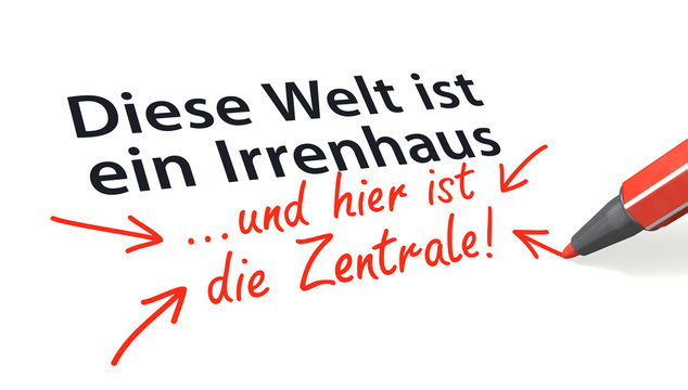 Diese Welt ist ein Irrenhaus...