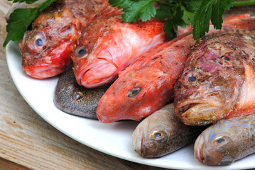 raw fishes on wood table with parsley