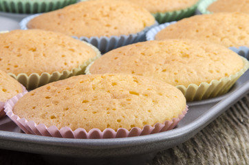 frisch gebackene Vanille Cupcake in einer Backform