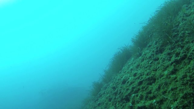 relitto nave nubifragio affondamento