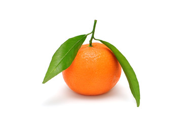 tangerine isolated on white background