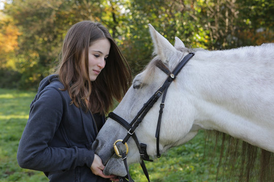 m&auml;dchen f&uuml;ttert wei&szlig;es Pferd auf der weide