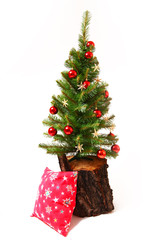 Christmas and New Year tree, stump and pillow isolated on white