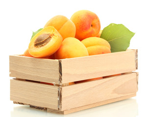 ripe apricots with green leaves in wooden box isolated on white