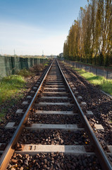 Fototapeta premium solitary track