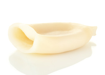 boiled squid isolated on white