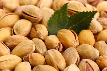 tasty pistachio nuts with leaves, close up