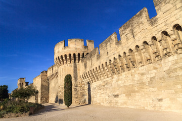 Fototapeta premium Avignon Medieval City Wall