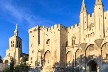 Avignon in Provence - View on Popes Palace