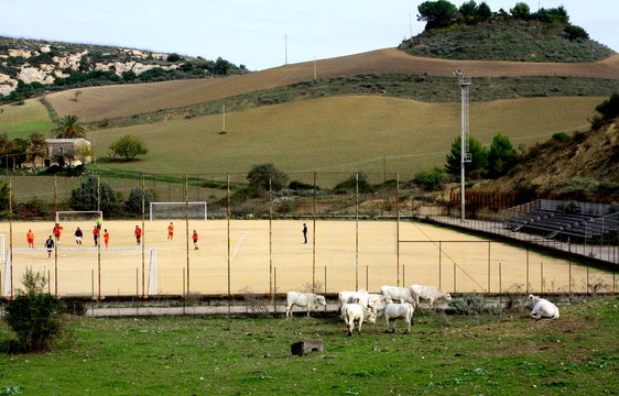 Calcio rurale