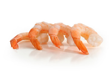 Shrimp