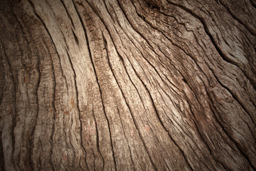 bark pattern