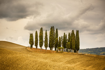 Tuscany landscape