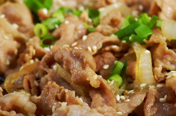 .Chinese dish -pork  with vegetables