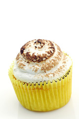 Colorful Cup Cake