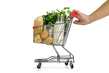 Small shopping cart