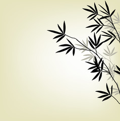 bamboo background, black and white branches, vector