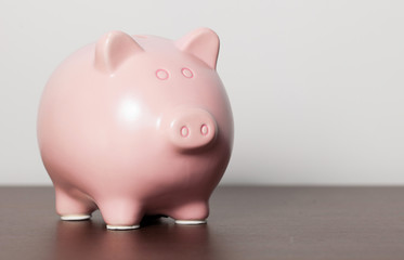 Pink Piggy Bank