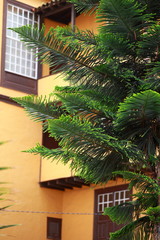 Fototapeta na wymiar Traditional architecture in Tenerife.