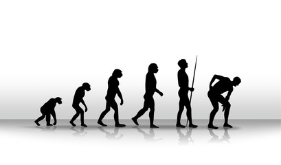 evolution2011a