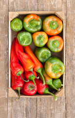pepper
