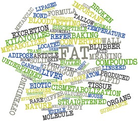 Word cloud for Fat