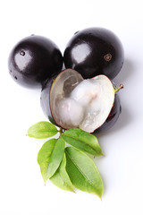 Jabuticaba