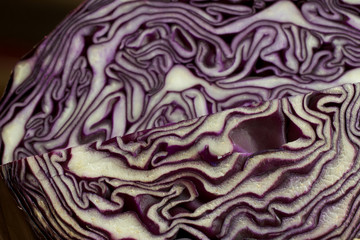Obraz premium red cabbage close up