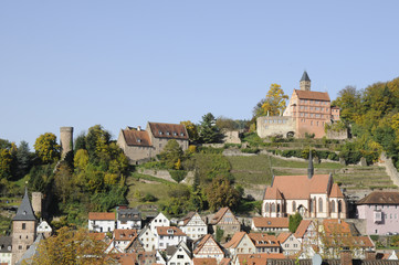 Fototapeta na wymiar Burg Hirschhorn