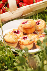 summer muffins