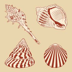 Vintage Shells Set. Marine theme.