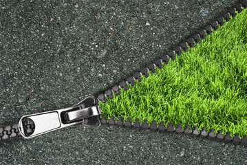 Fototapeta Zipper with grass and asphalt obraz
