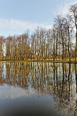 Fototapeta premium Ripples on the water.