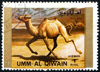 Postage stamp Umm al-Quwain 1972 Camel, Animal