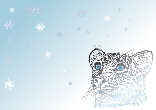 Schneeleopard mit Schneeflocken