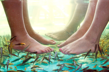 Fish spa pedicure of female feet