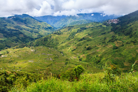 Green valley landscape