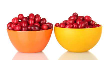 fresh cornel berries in colorful bowls isolated on white