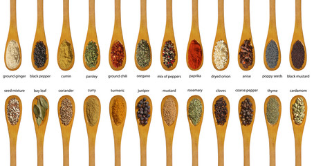 Different spices isolated on white background. Large Image - 46991528