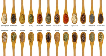 Foto op Canvas Different spices isolated on white background. Large Image © Julián Rovagnati