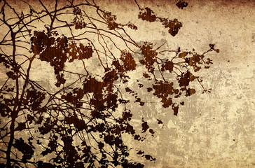 Multicolor foliage background..