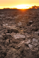 terre agricole au crépuscule